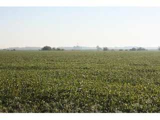Property photo 44 - ILLINOIS LAND AUCTION - 705+/- ACRES OFFERED IN 16 TRACTS IN EDWARDS COUNTY, ILLINOIS